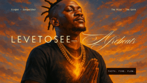 levetosee afrobeats website banner